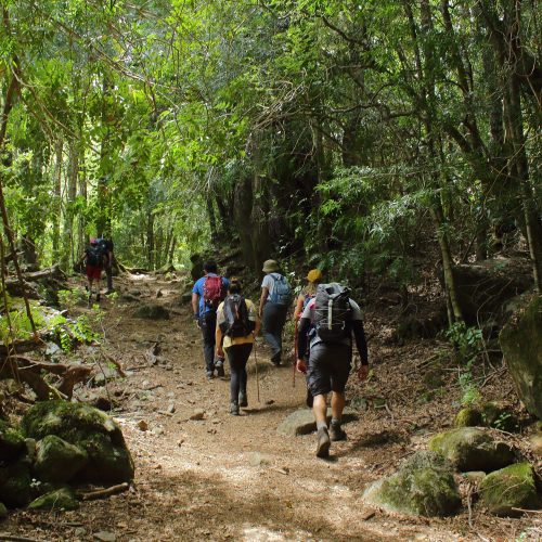 curso trekking 1